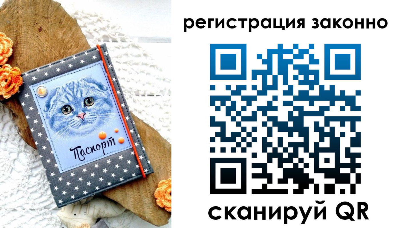 прописка гарантия в Тольятти