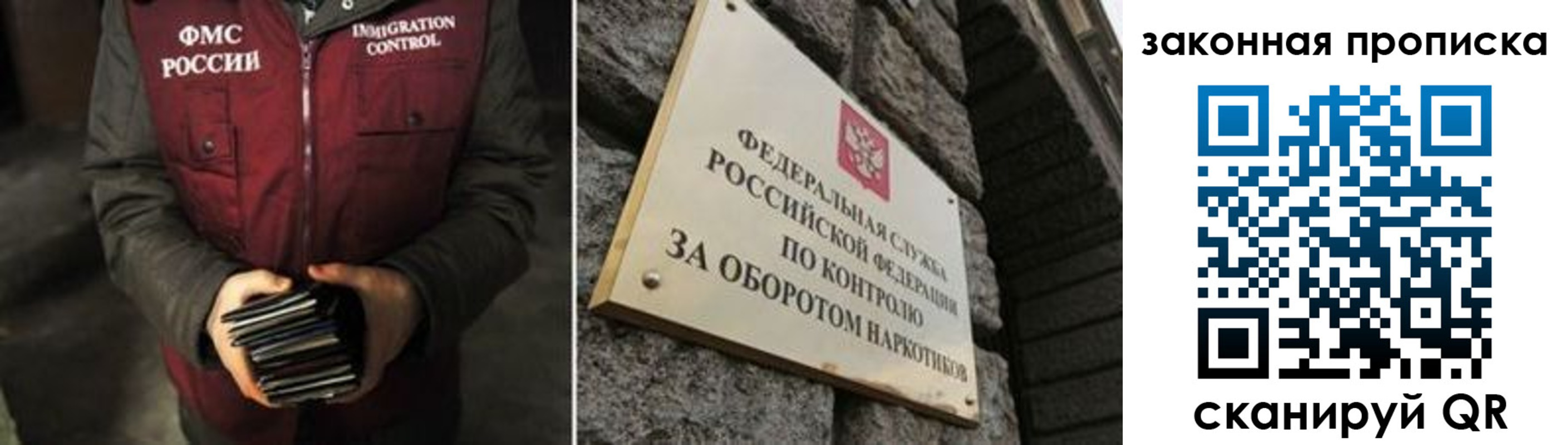 прописка гарантия в Тольятти